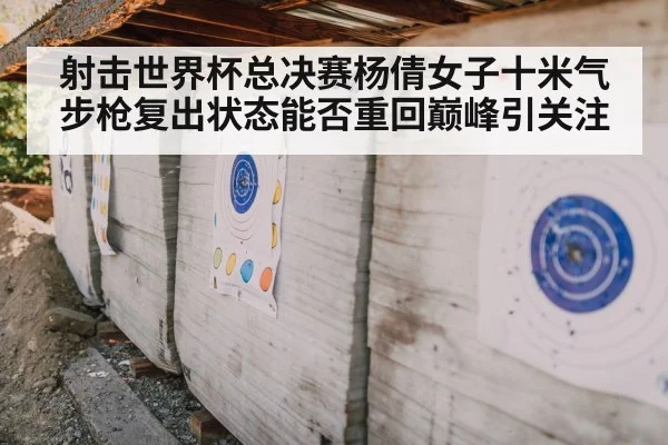 shooting competition target