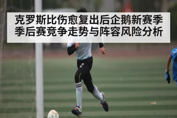 克罗斯比伤愈复出后企鹅新赛季季后赛竞争走势与阵容风险分析